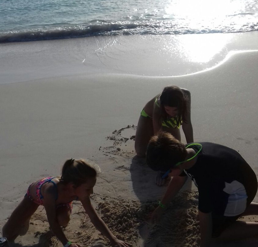 365 Beaches-圣 约翰必去景点