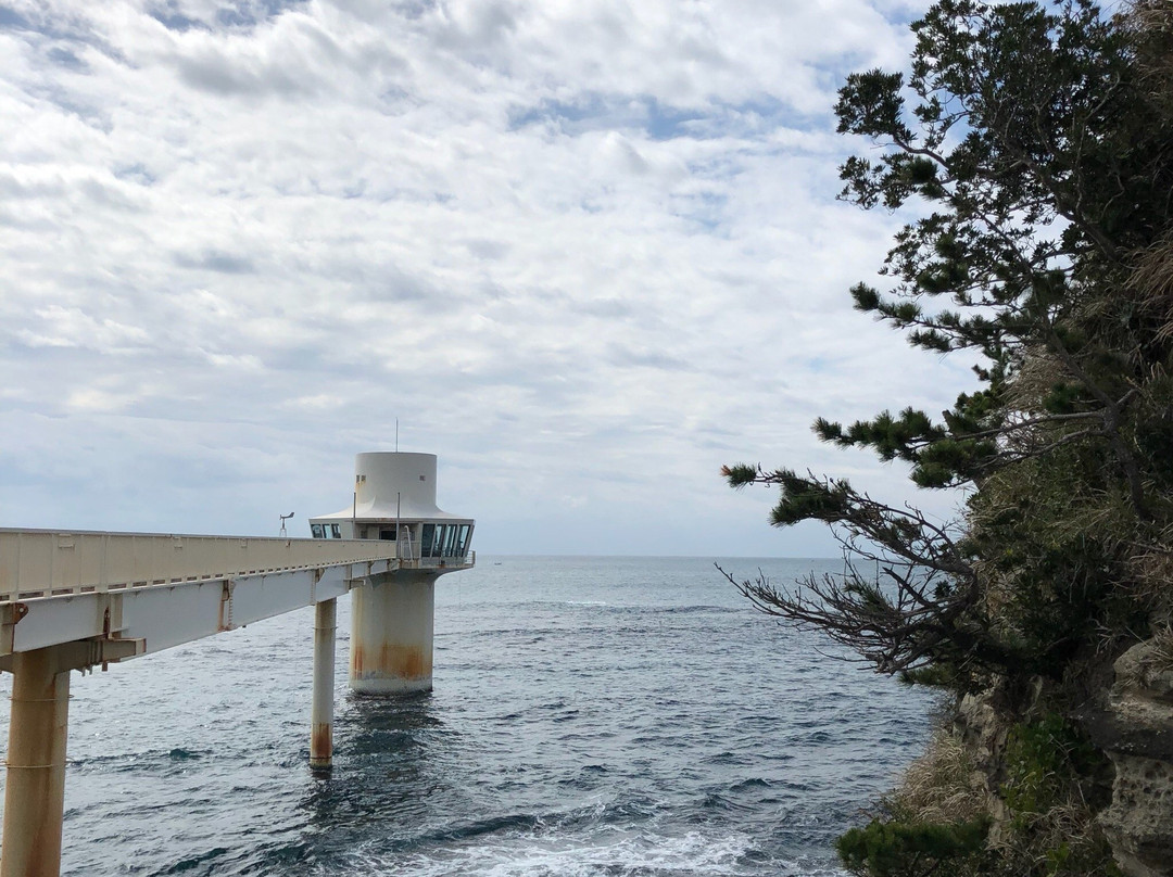 Katsuura Undersea Park-胜浦市必去景点