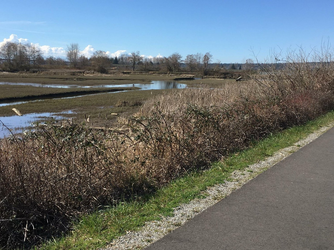 Ebey Waterfront Park景点图片