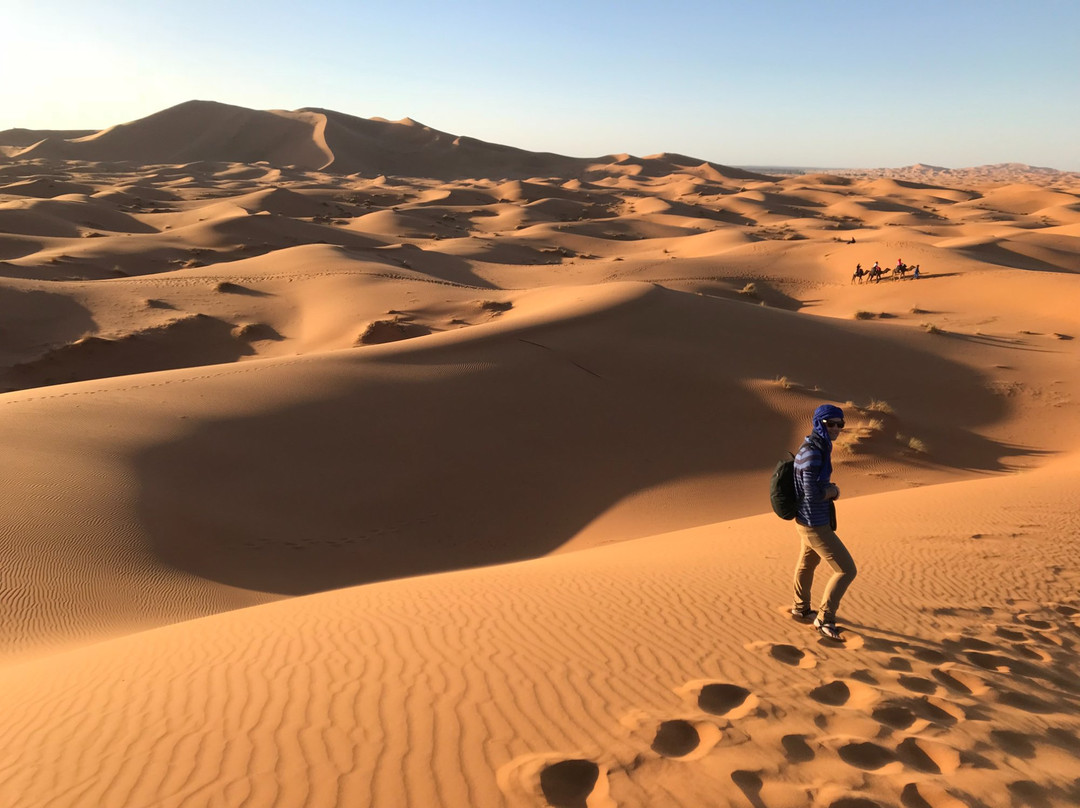 Palais Des Dunes主图