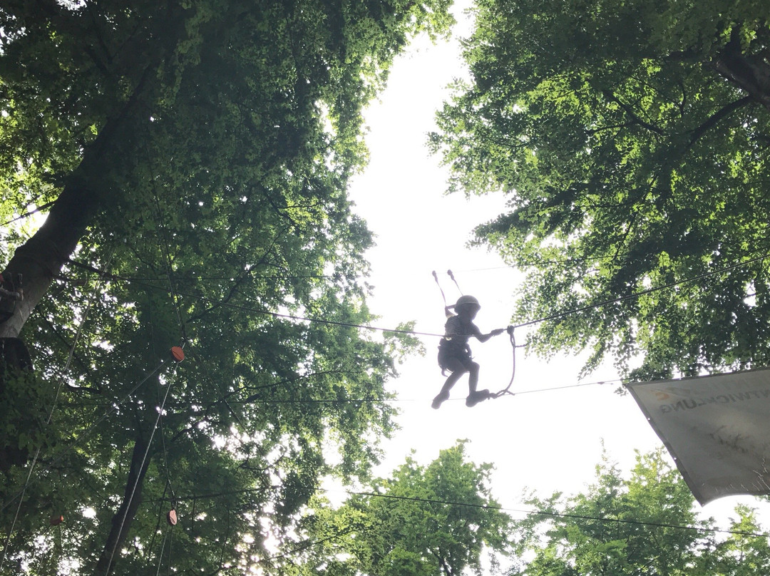 Kletterwald Darmstadt-达姆施塔特行政区必去景点
