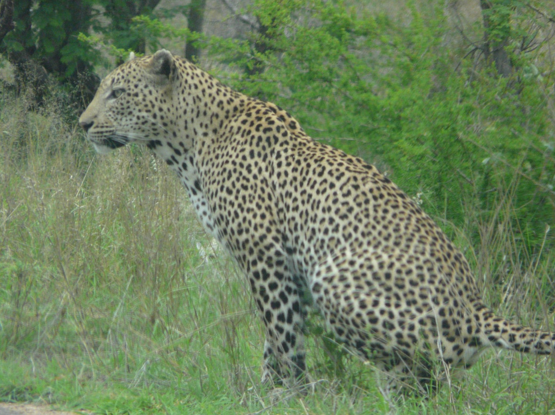 South African National Parks景点图片