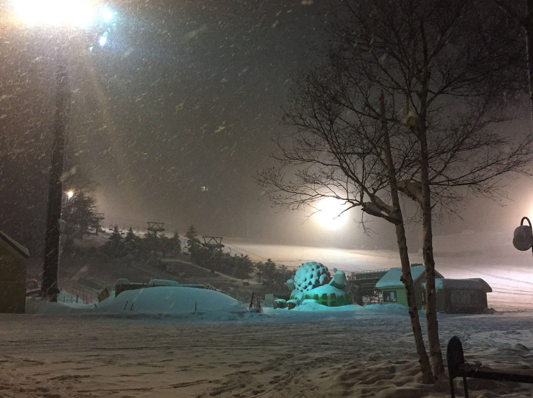 Oze Iwakura Resort Hotel主图