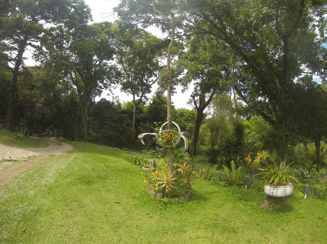 Vinícola Casa da Árvore景点图片