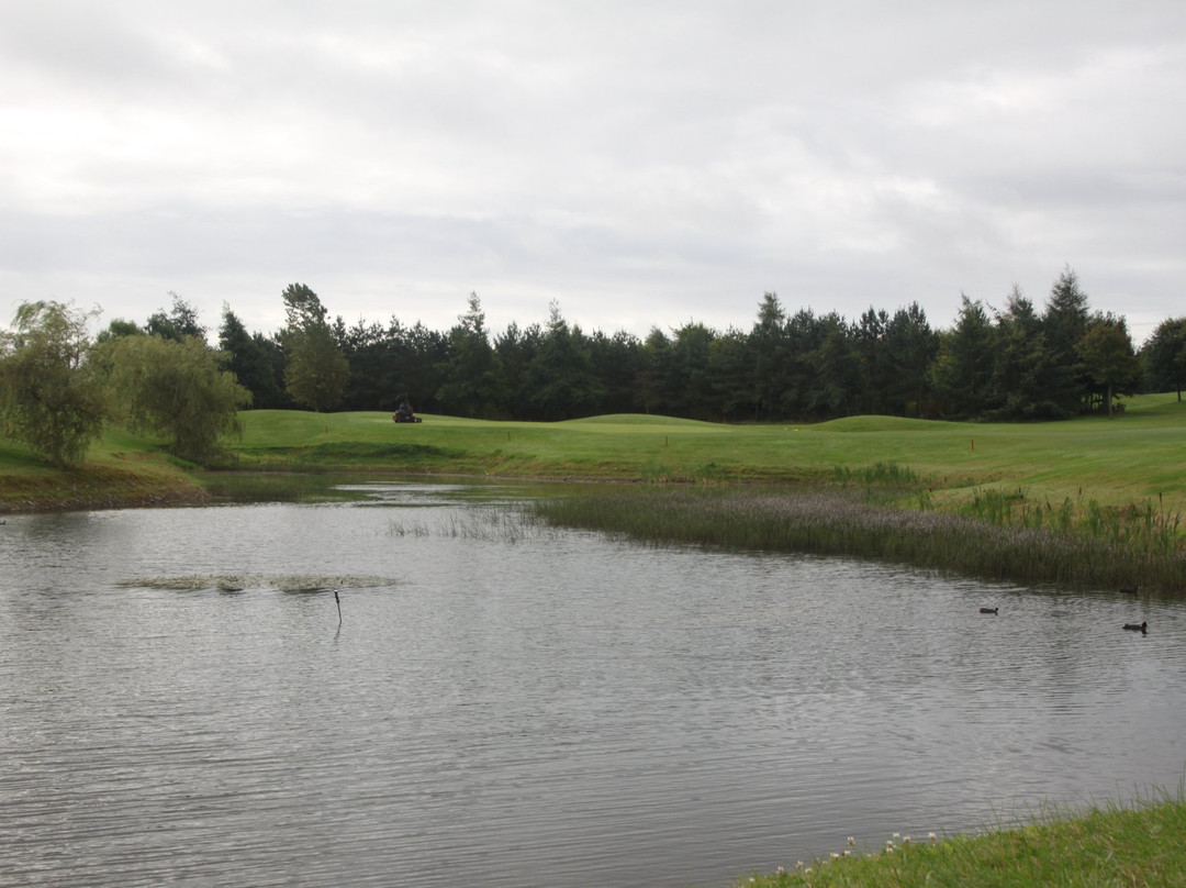 Millicent Golf Club景点图片