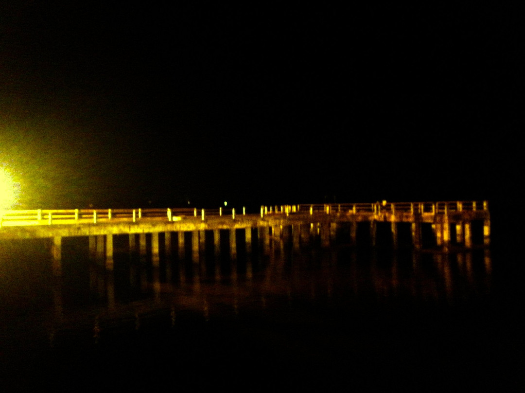 Ponte do Lloyd景点图片