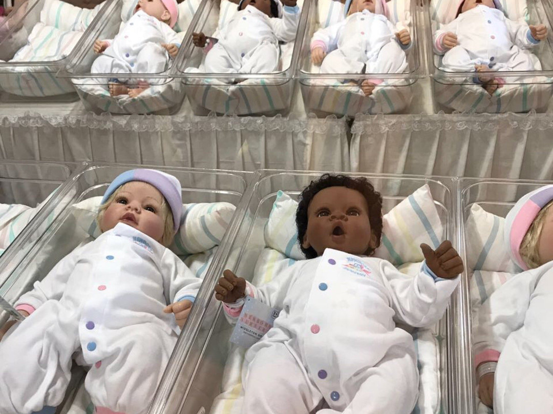 Judy's Dolls Shop-Longwood必去景点