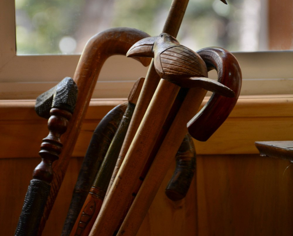 Hotel Borde Andino主图