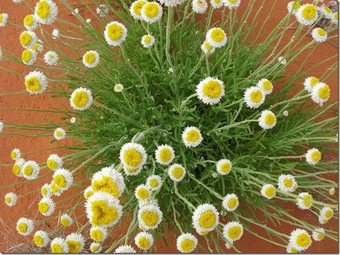 SA Eco Tours-阿德莱德必去景点