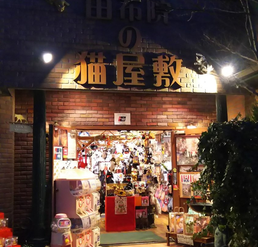Yufuin no Nekoyashiki-由布市必去景点