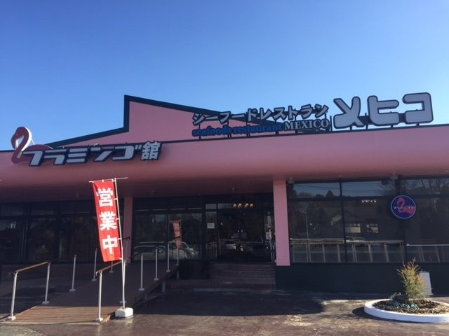 メヒコ  水戸フラミンゴ館