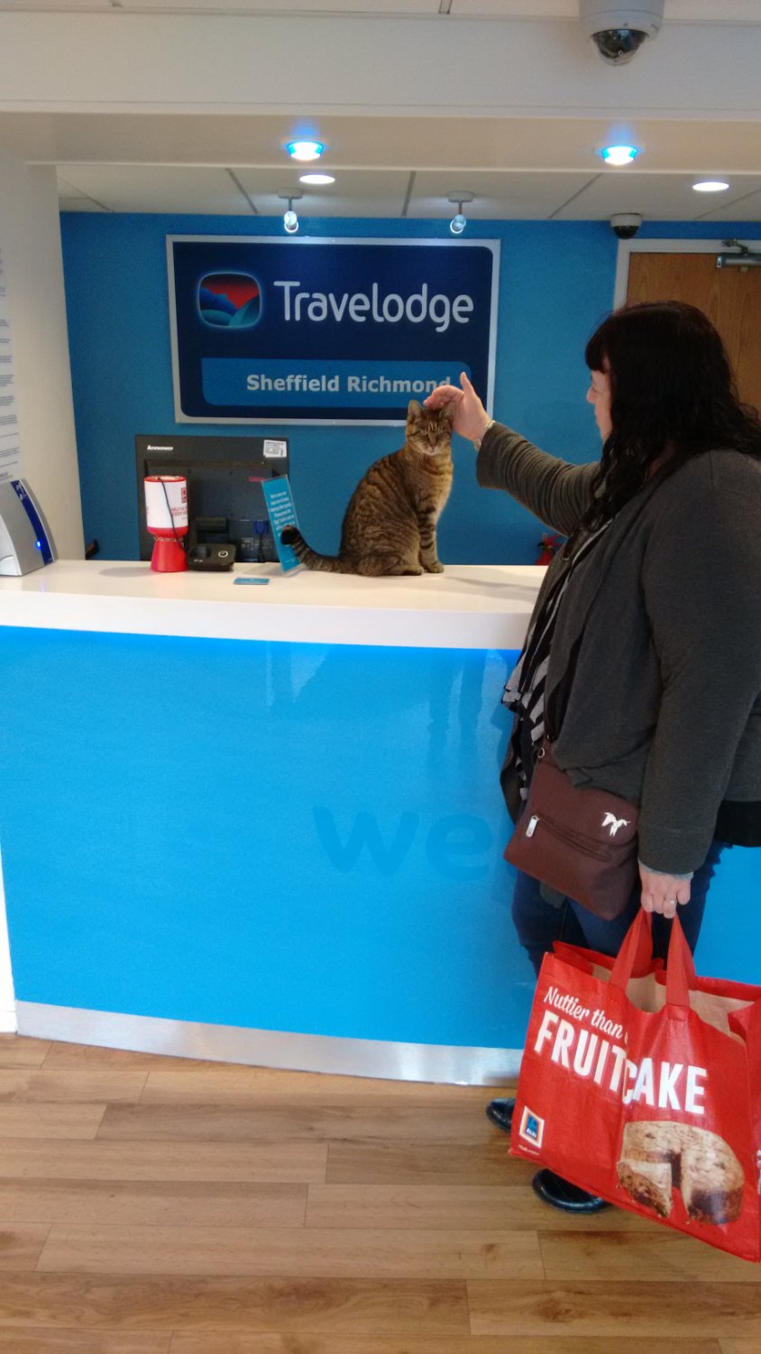 Travelodge Sheffield Richmond-浴室