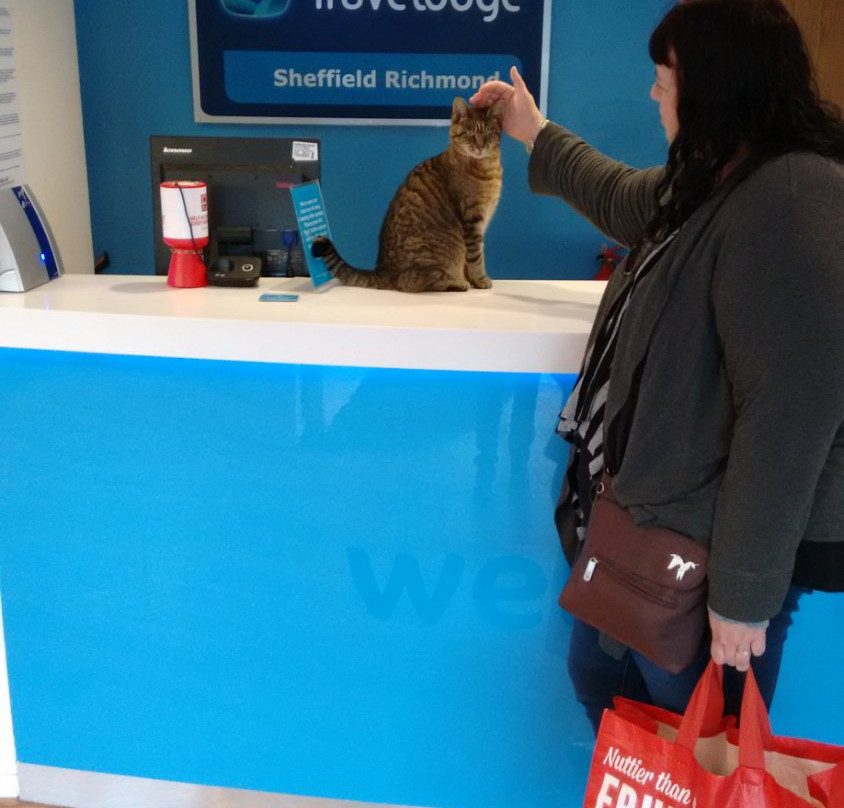 Travelodge Sheffield Richmond主图