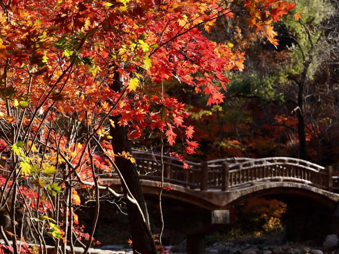 蒲石河森林公园-凤城市必去景点
