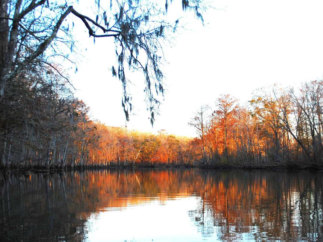 Roanoke Outdoor Adventures景点图片
