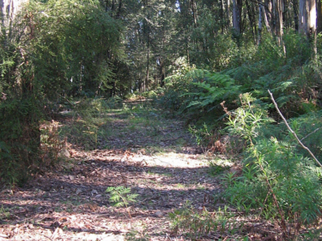 Mount Riddell-希尔斯维尔必去景点