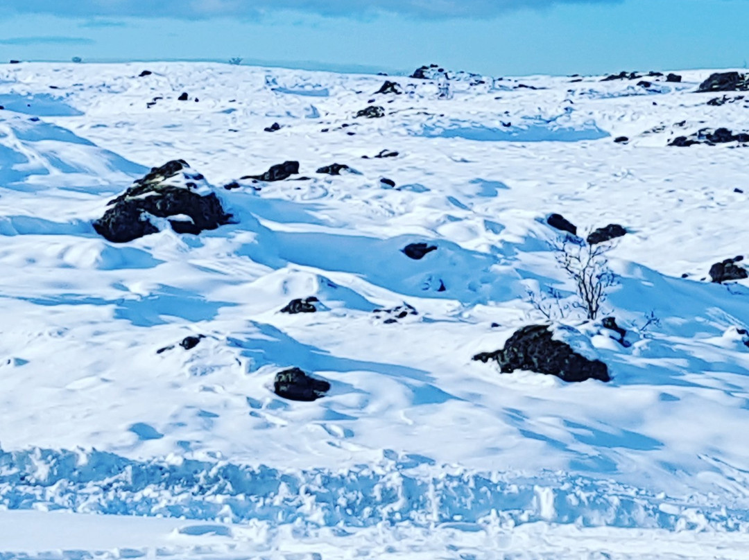 Iceland Wonder Tours-Gardabaer必去景点