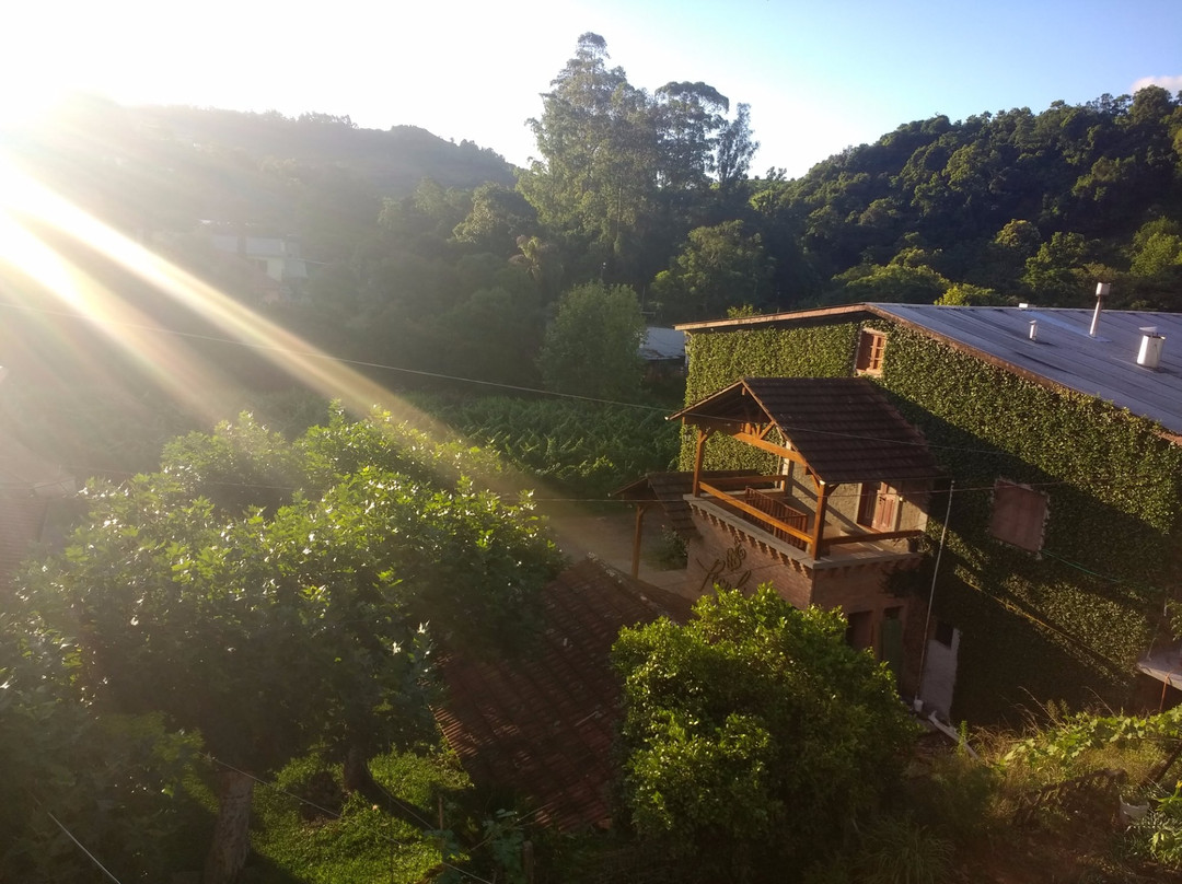 Peculiare Vinhos Únicos景点图片