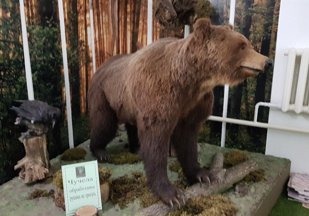 Orenburg Governor's Local Lore and History Museum-Orenburg必去景点