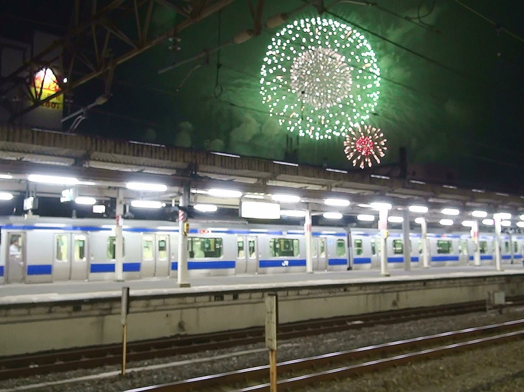 Teganuma Fireworks-柏市必去景点