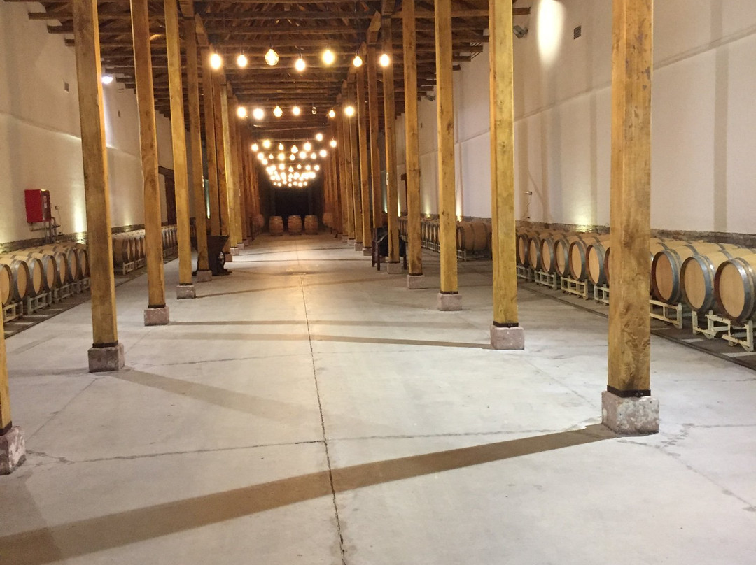 Ruta del Vino - Vinos y Tours-圣克鲁斯必去景点