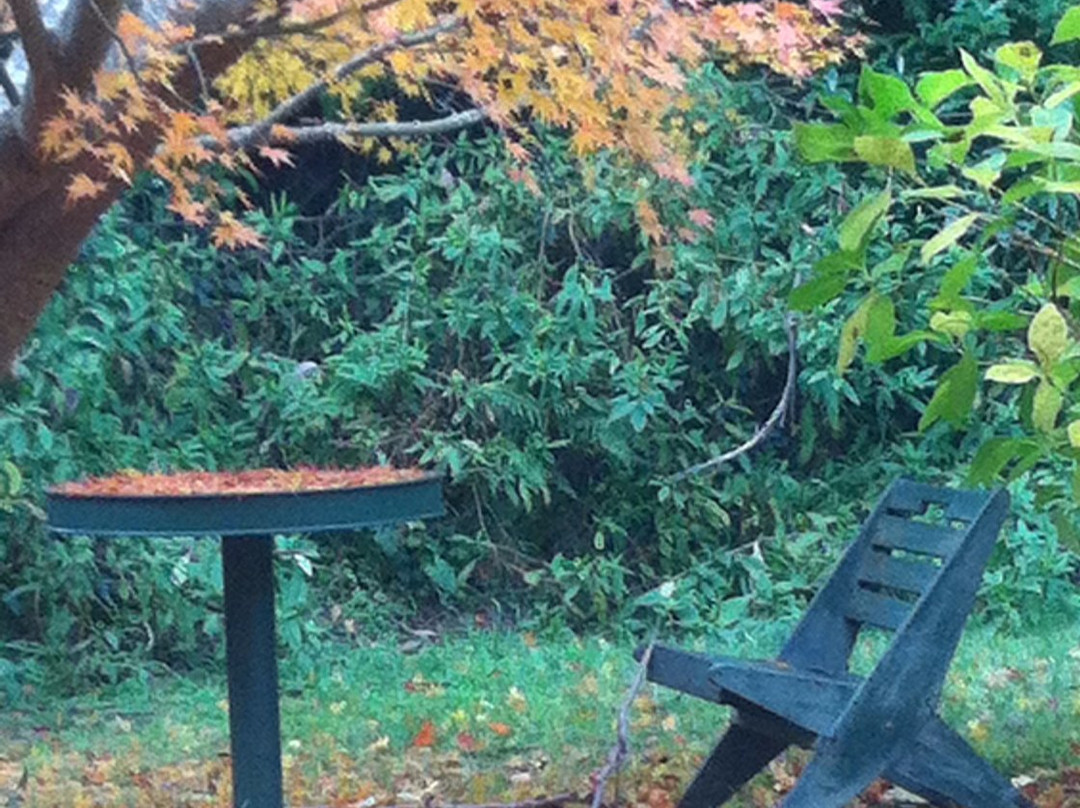 Fitzroy Falls Gallery主图