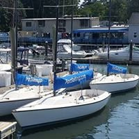 Port Sailing School景点图片