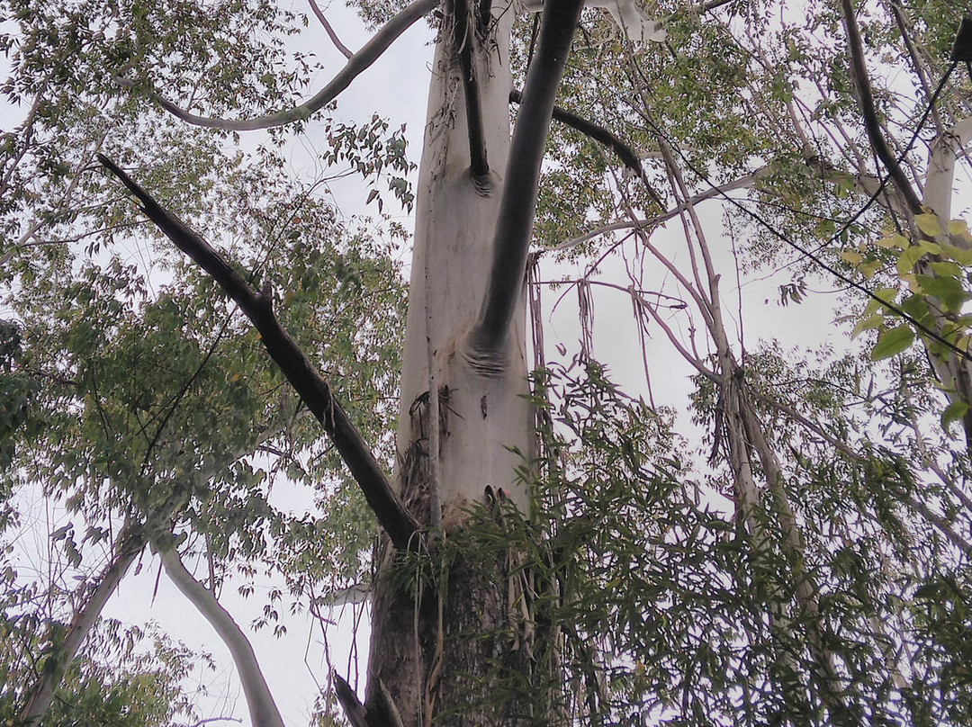 Ecopousada Joao Y Maria主图