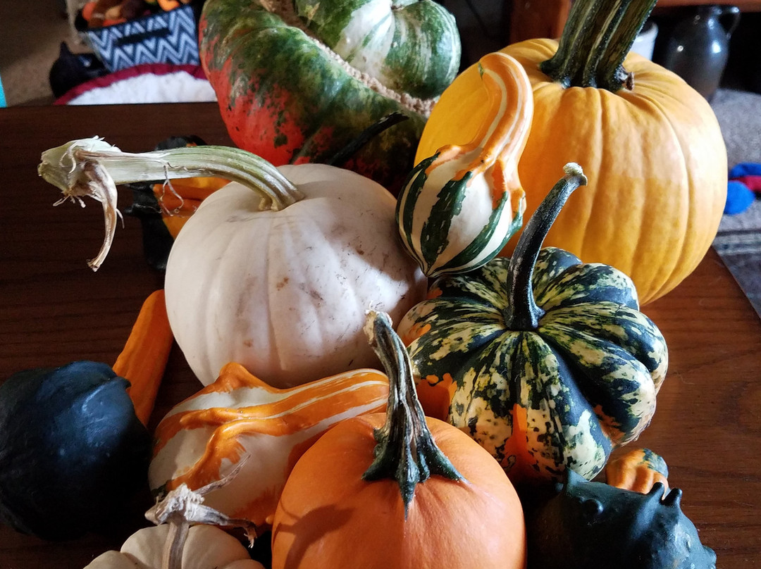 College Run Farms-Surry必去景点