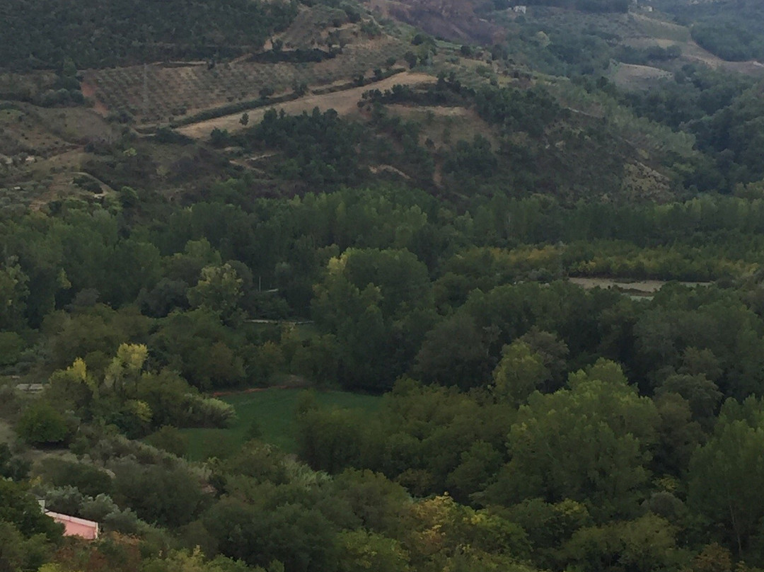 Santuario della Madonna del Castello景点图片