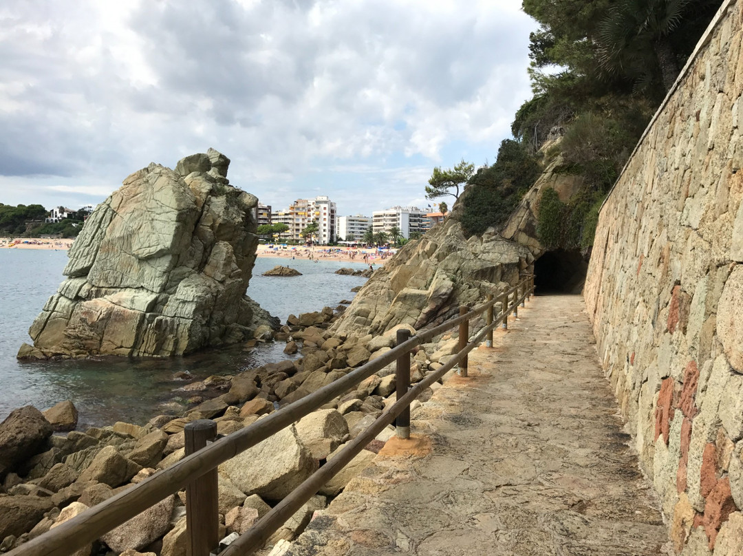 Chemin Cotier景点图片