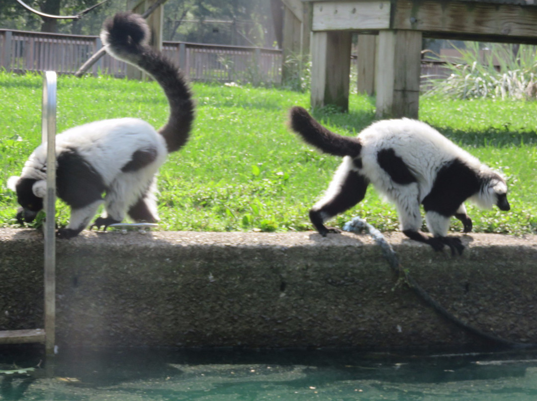 Capron Park Zoo景点图片