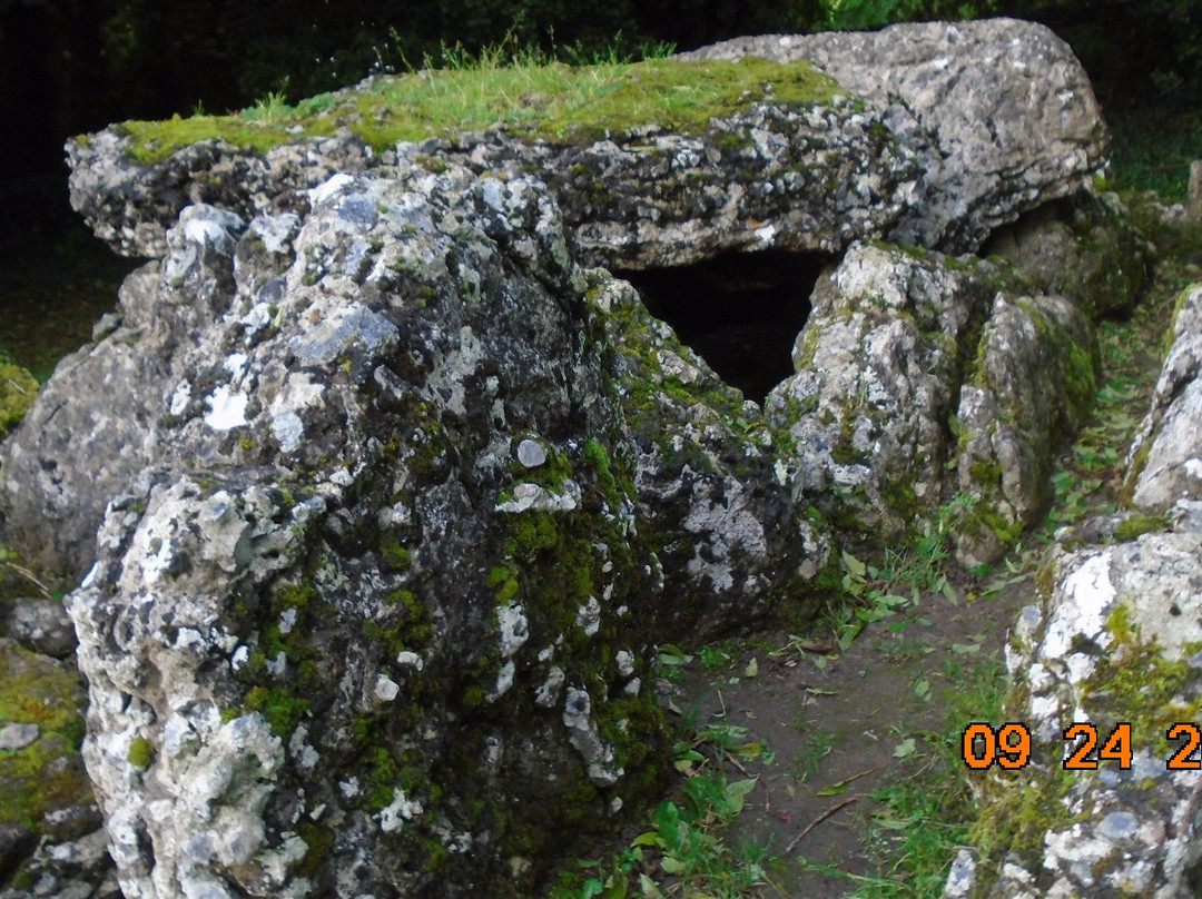 Grange Stone Circle-Bruff必去景点