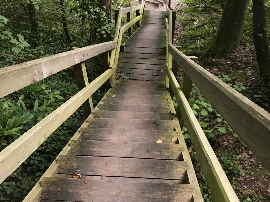 Bonchurch Landslip-Bonchurch必去景点