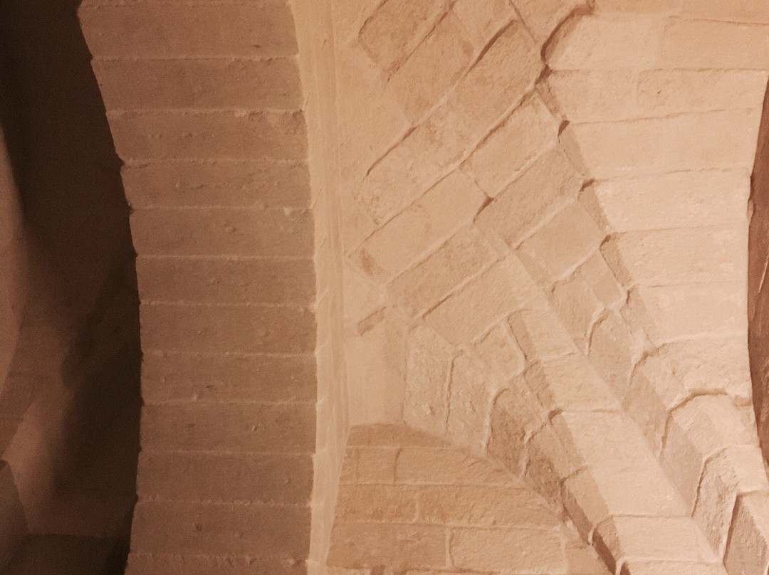 Antico Aranceto主图