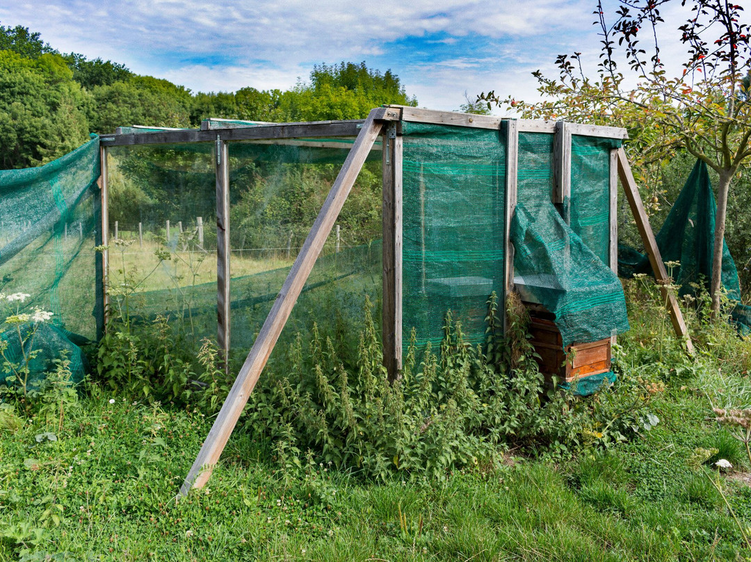 Ferme d'Ecancourt景点图片