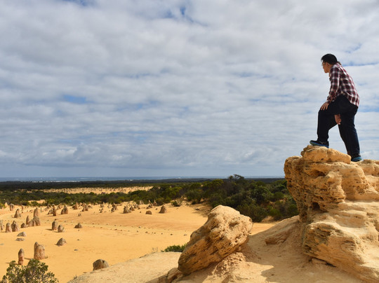 Down Under Discoveries-珀斯必去景点