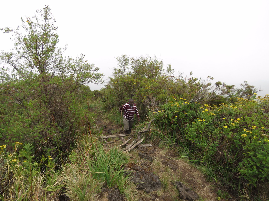 Kisoro Tours Uganda-坎帕拉必去景点