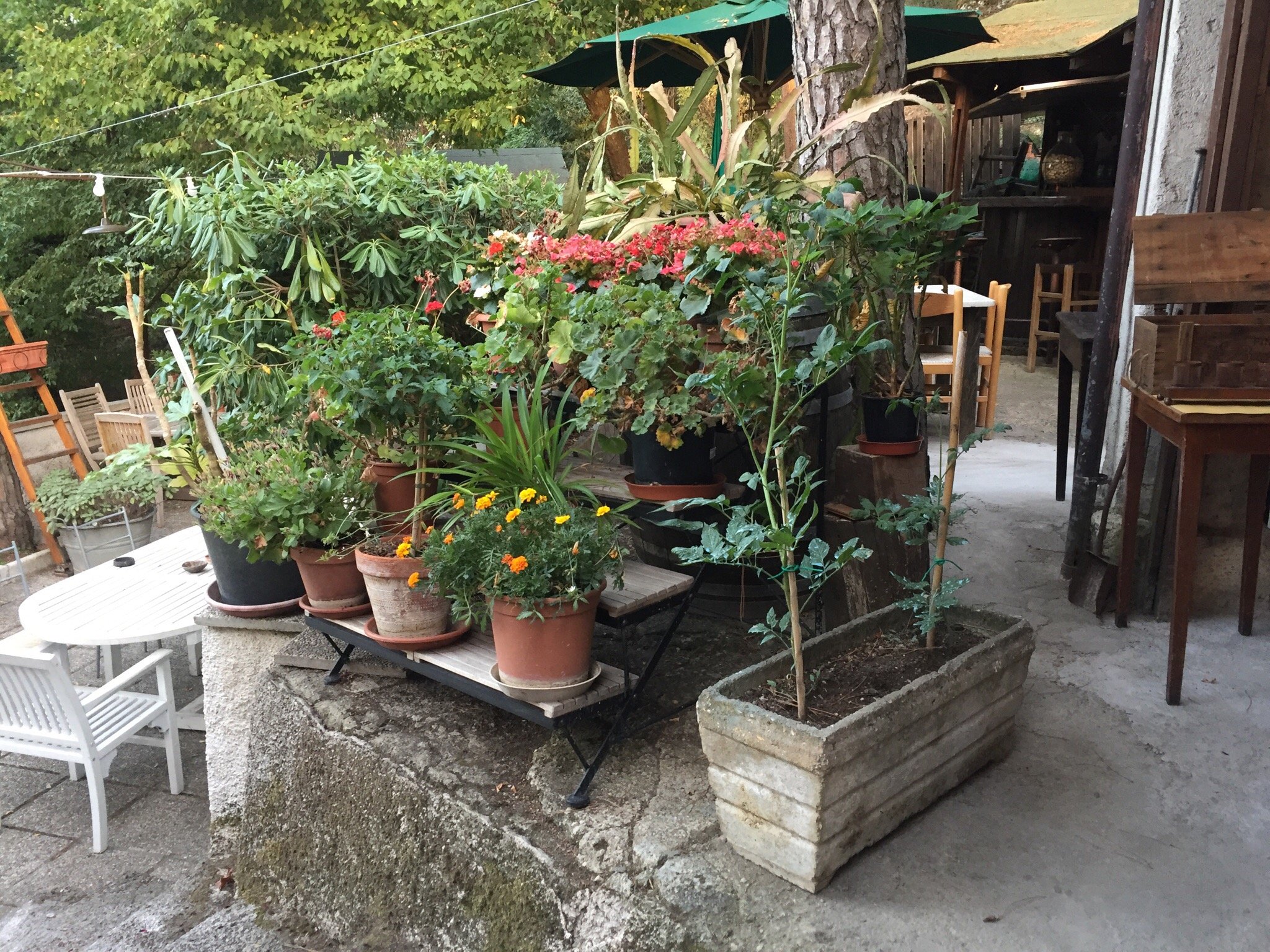 Osteria I Malardot-官方