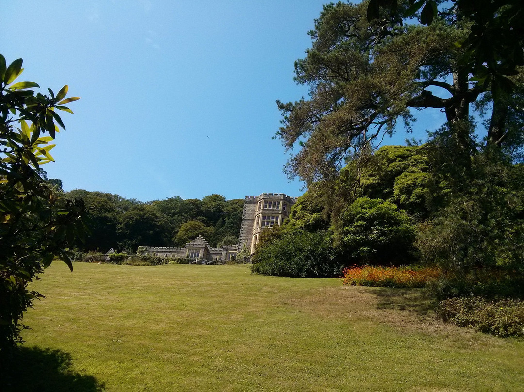 Plas Tan y Bwlch Gardens景点图片