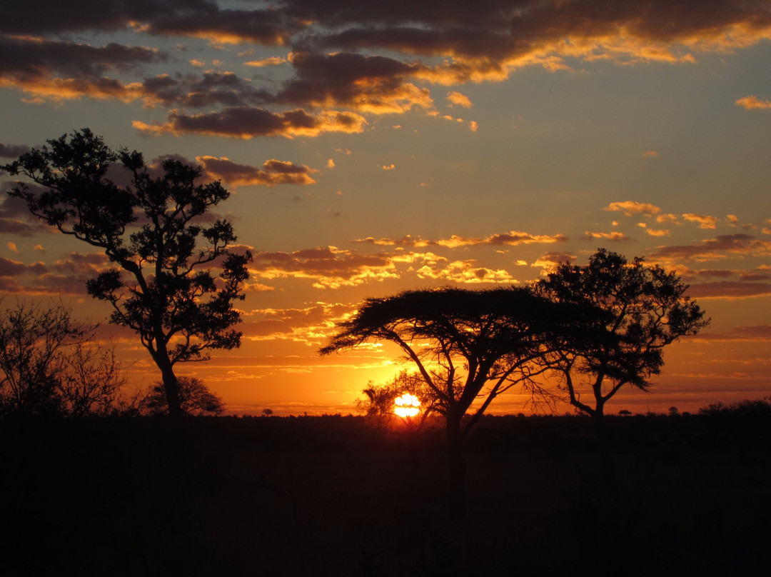 Hwange Bush Camp