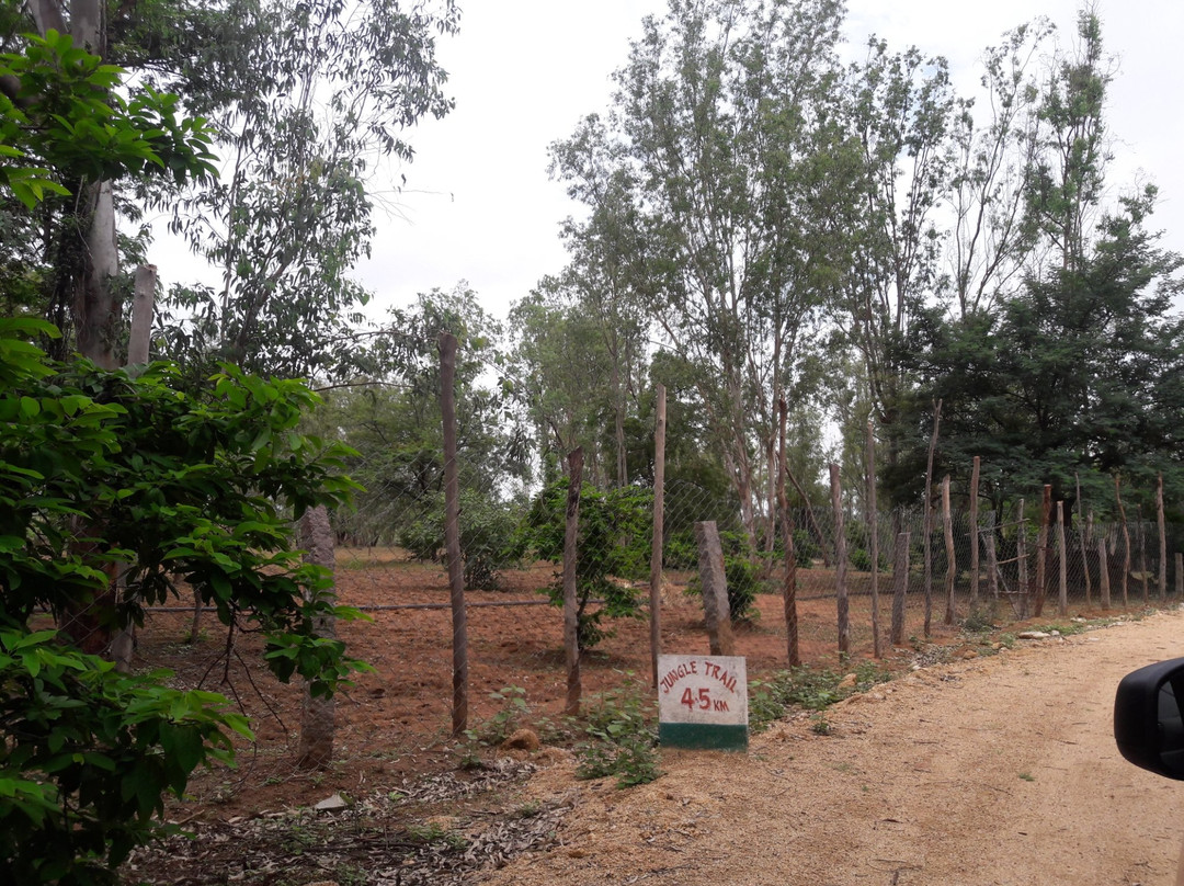Pocharam Reservoir景点图片