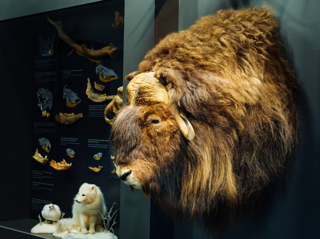 Notranjska museum Postojna-波斯托伊纳必去景点
