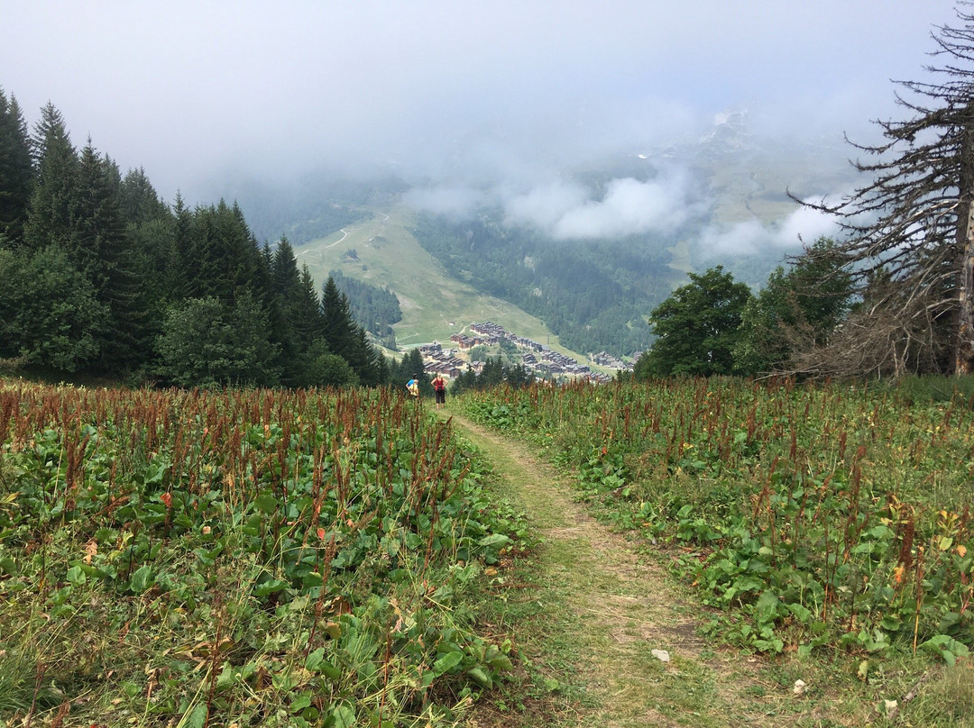 Doucy旅游攻略图片