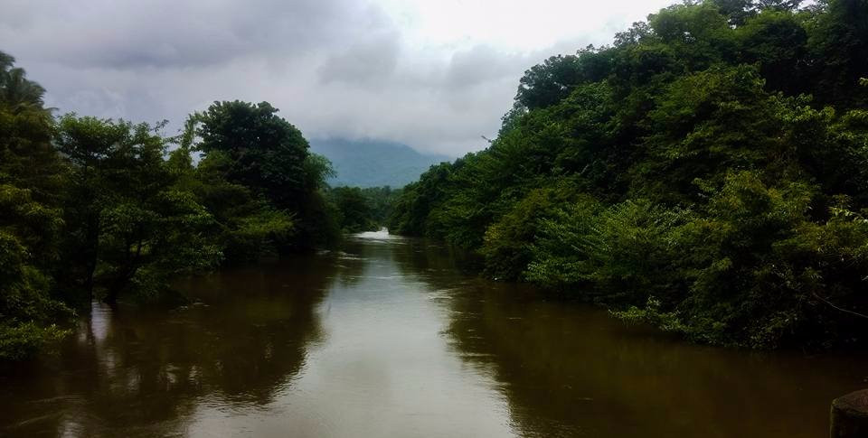 Aralam wildlife sanctuary景点图片