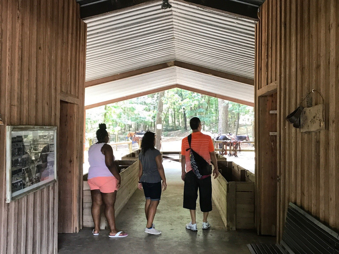 Arkansas Riding Stables景点图片