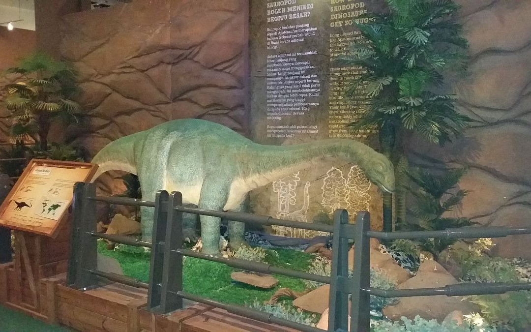 Pusat Sains & Kreativiti Terengganu-瓜拉丁加奴必去景点