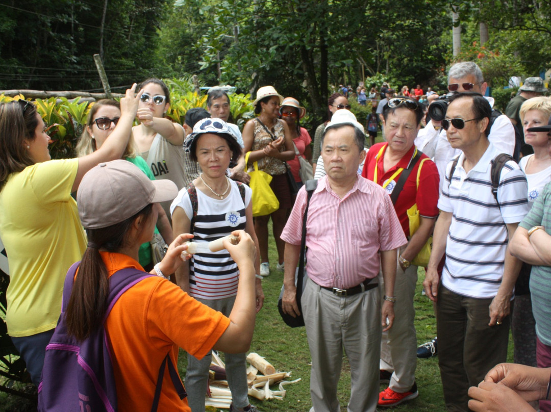 John's Hall Adventure Tours-蒙特戈贝必去景点