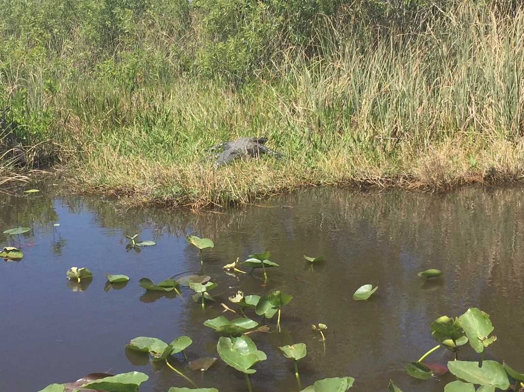 99 Mile Wilderness Waterway-大沼泽国家公园必去景点
