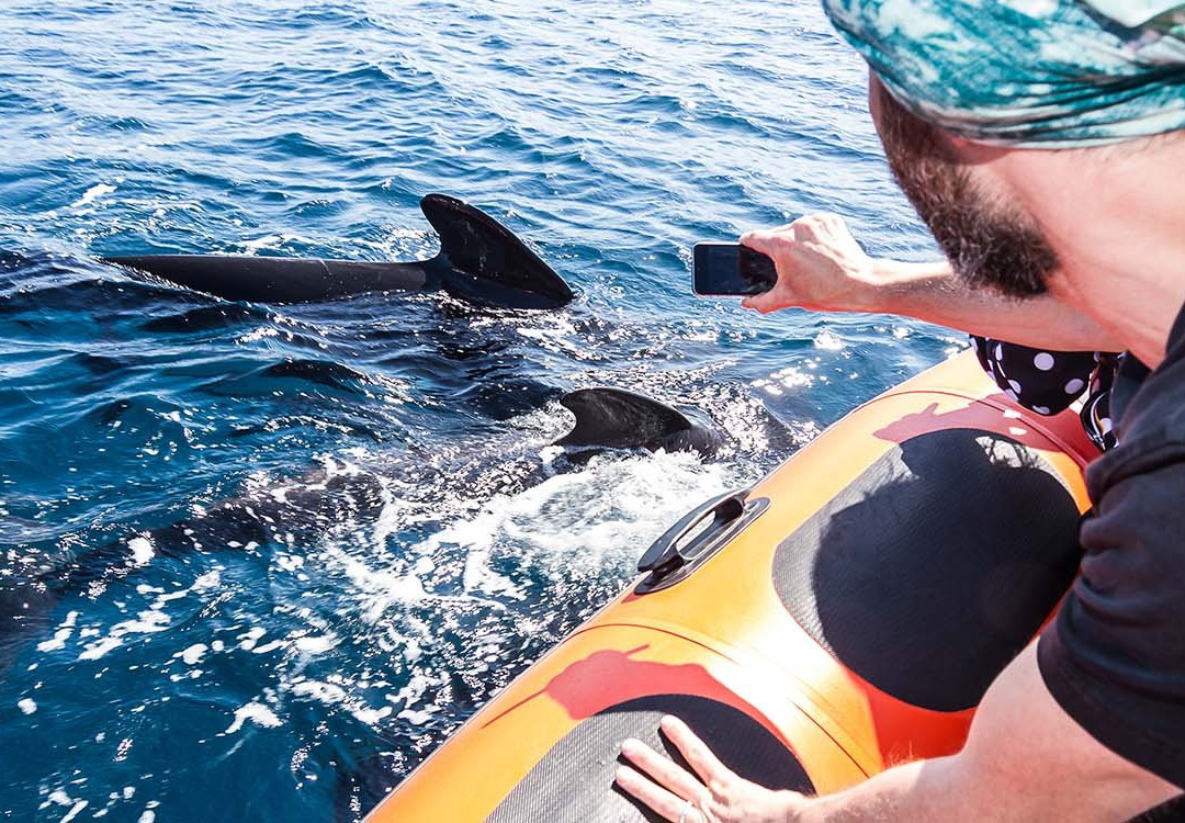 Top Tarifa-塔里法必去景点